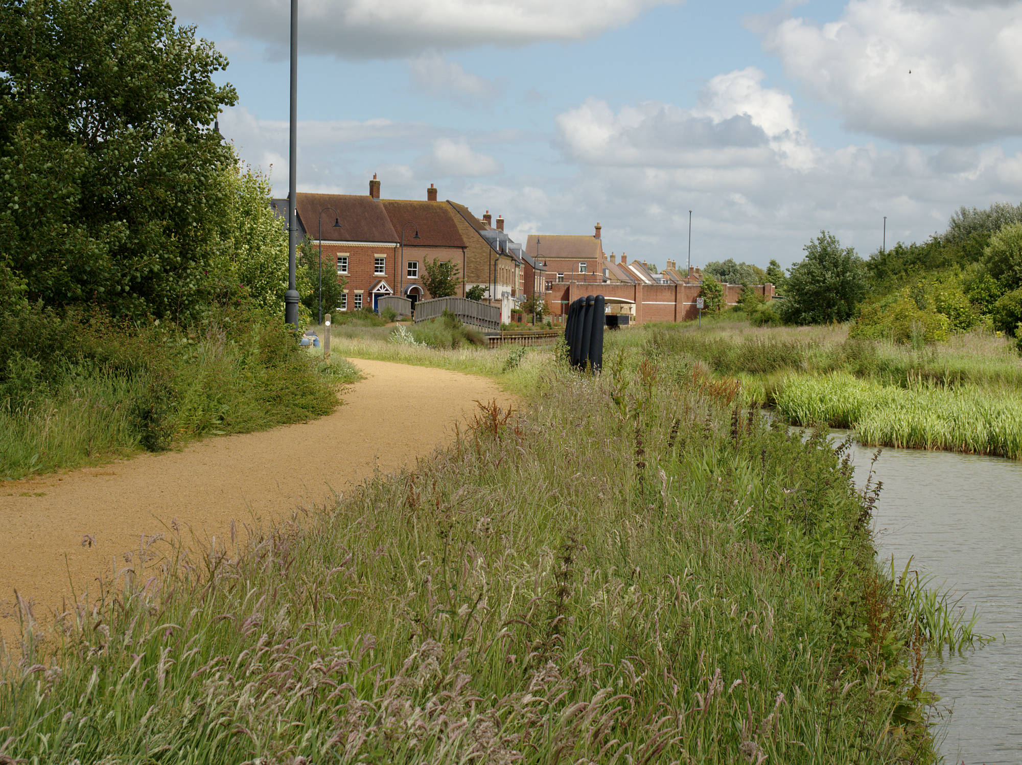 Photo of the canal with long grass on the banks